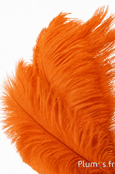 Struisvogel - 30-40 cm - oranje